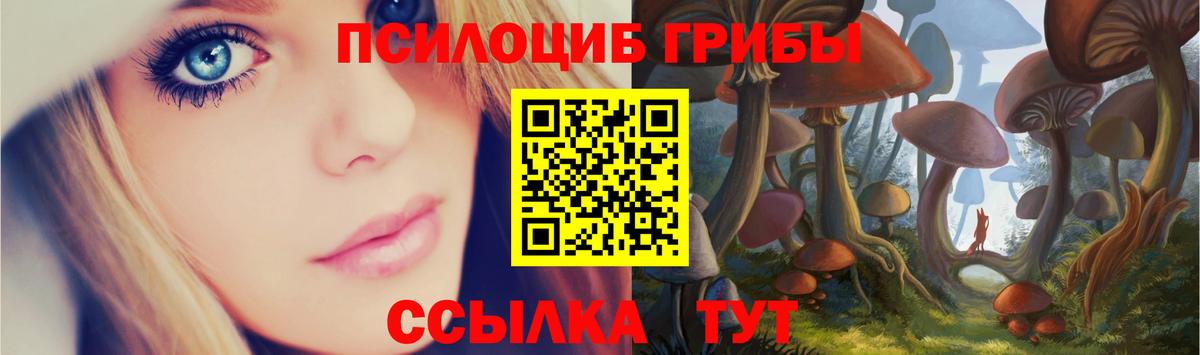 Псилоцибиновые грибы Cubensis Балахна